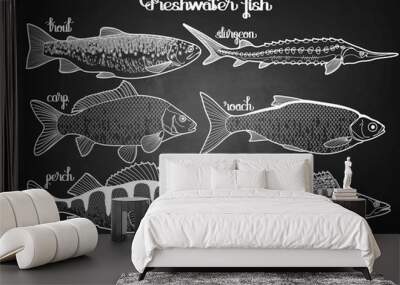 Graphic freshwater fish collection Wall mural