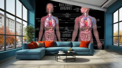 Watercolor male and female human bodies with internal organs and a cardiovascular systems Wall mural