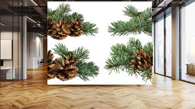 Green fir branch with cone on white background with clipping pass Wall mural