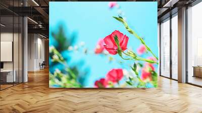 Red flowers against the blue sky. Floral background. Wall mural