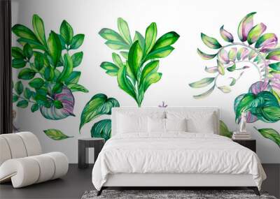 Set of branch with green, pink leaves, frogs, colorful summer watercolor illustration on white Wall mural