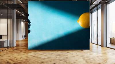 Lemon in a ray of light on a blue background. The play of light and shadow: the lemon as a lantern or UFO lights up the area and little creatures Wall mural