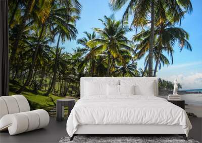 Gorgeous Itacare beach in Brazil Wall mural