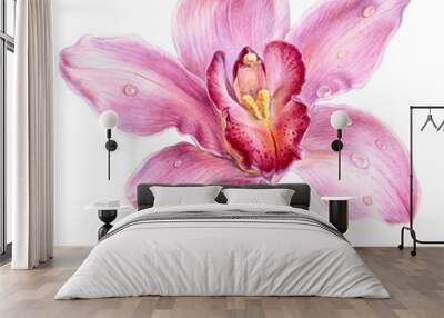 Pink orchid flower, watercolor illustration, one element Wall mural