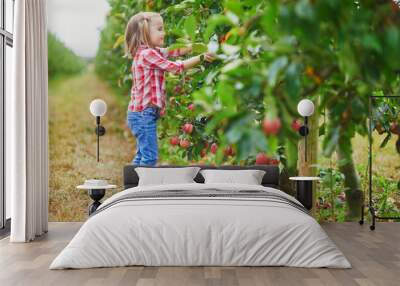 Adorable preschooler girl in red and white shirt picking red ripe organic apples in orchard or on farm on a fall day Wall mural