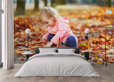 Adorable toddler girl picking chestnuts in basket in Tuileries garden in Paris Wall mural