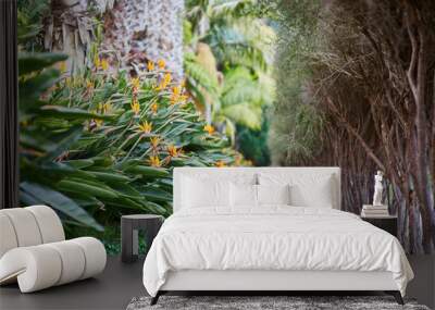 bird of paradise flowers on Madeira island, Portugal Wall mural