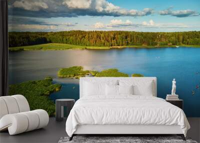 Scenic aerial view of beautiful lake with green grass Wall mural