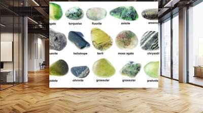 set of various tumbled green minerals with names Wall mural