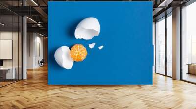 The concept of a broken egg, where instead of yolk peeled mandarin. Comic replacement of animal proteins with fruit. Funny veragatian breakfast. Substitution of objects based on shape and color. Wall mural