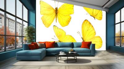 Illustration of yellow butterflies. Watercolor. Watercolor clip art. Wall mural