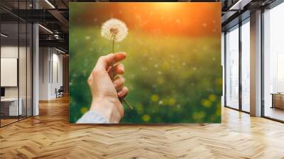 Woman holds dandelion Wall mural