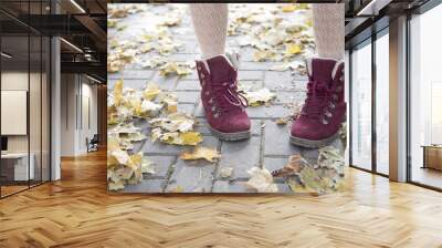 beautiful woman walking in autumn Park Wall mural