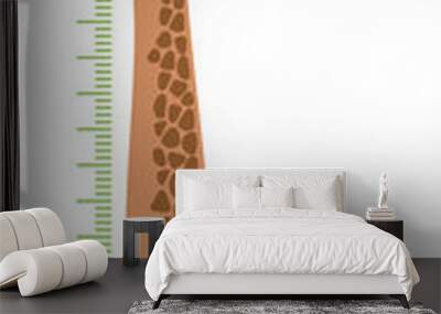 Giraffe on white background Children height meter wall sticker. Vector Wall mural