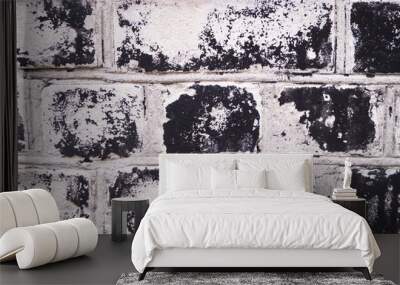 black and white brick wall closeup background Wall mural