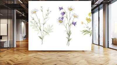 Watercolor botanical set of bouquets of summer meadow flowers. Hand drawn illustration of Chamomile and little violet bell. Yellow tansy and white daisy and blue bluebell on isolated background. Wall mural