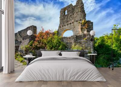 Ruins of Dvigrad. Dvigrad is an abandoned medieval town in central Istria, Croatia. Wall mural