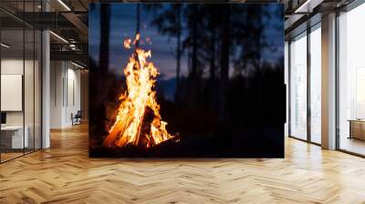 Burning campfire on a dark night in a forest Wall mural