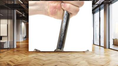 Claw hammer pulling a nail out of a plank.  Wall mural