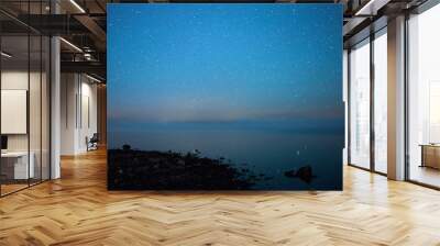 Starry night at rocky lake shore. Fog over water in horizon. Wall mural