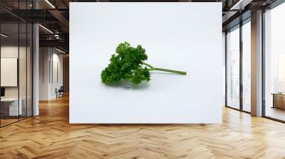 Parsley isolated on white background. Wall mural