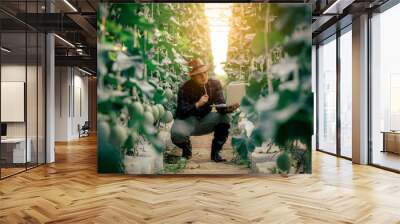 Farmers in Asia, yes, technology helps check the Melon yield in the greenhouse. Wall mural