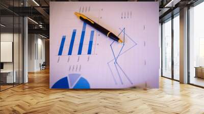 Pen on diagram chart and graphs business report with money, compass, calculator on desk of financial advisor. Accounting and Financial Planning Concept. top view. Wall mural