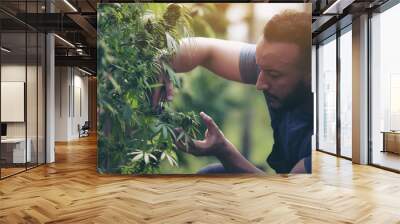 Portrait of a professional farmer working in a hemp field. They are checking the plants. Alternative medicine and the concept of cannabis Wall mural