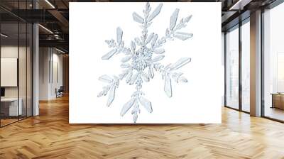 Natural Christmas snowflake Wall mural