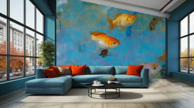 The goldfish (Carassius auratus) - Goldfish In Aquarium Wall mural