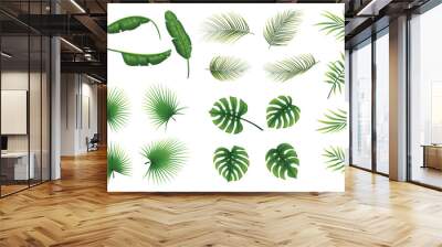 Set of tropical leaves plants on a white background Wall mural