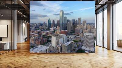 Reunion Tower View Wall mural