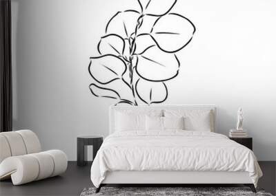 Eucalyptus branches. Isolated black and white design elements. Vector illustration. Wall mural