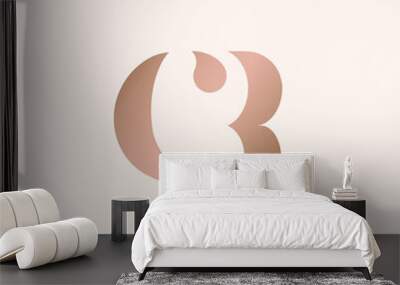 CR monogram logo.Abstract typographic signature icon.Rose gold color letter c and letter r.Lettering sign isolated on light fund.Alphabet initials.Uppercase character shapes.Beauty, elegant style. Wall mural