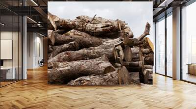 Huge stack of brown tree logs against a grey cloudy sky during day light Wall mural