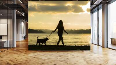 silhouette of woman and dog walking at the beach on sunset Wall mural