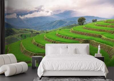 Green terrace rice field with mountain background  Wall mural