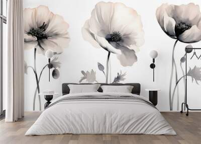 Beautiful watercolor Poppies black & white Wall mural