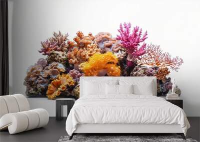 Isolated coral reef illustration against a white background. Wall mural