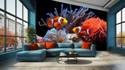 Sea anemone and clown fish in marine aquarium. On black background Wall mural