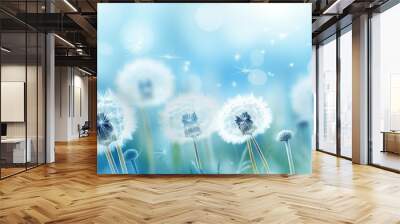 Soft focus on dandelions flower, extreme closeup, abstract blue spring nature background Wall mural