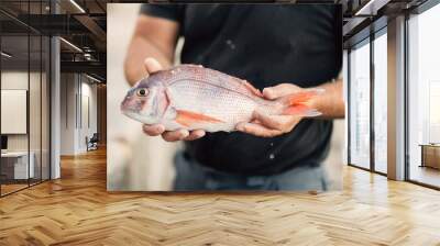 Professional island fisherman holding caught gilthead sea bream.Fishing for living.Local fish market.Fresh seafood.Active hobby.Expensive catch.Healthy mediterranean diet.Sustainable fishing.Farming Wall mural