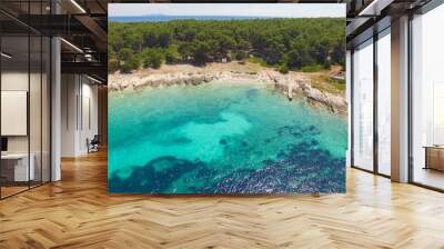 Proizd beach near dalmatian Island of Korcula ,Croatia.Beautiful peaceful island with crystal clear sea full of wildlife.Active summer diving location. Aerial view on beautiful beach. Wall mural