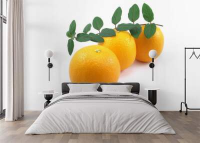 oranges Wall mural