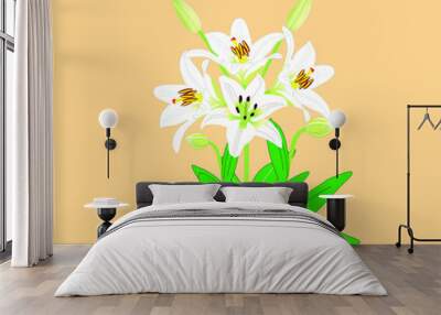 White lily flower vector design illustration. White lily flower symbolizes sincerity Wall mural