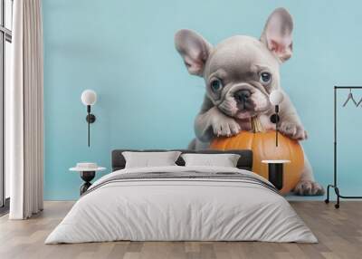 Cute French Bulldog Puppy with Pumpkin on Blue Background Wall mural