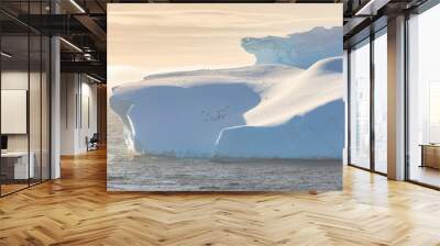 Penguins on huge iceberg, evening light and mist, Bransfield Strait, South Shetland Islands and Antarctic Peninsula, Antarctica Wall mural