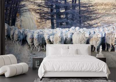 Sheep herding Wall mural