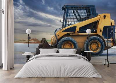 skid loader construction site Wall mural