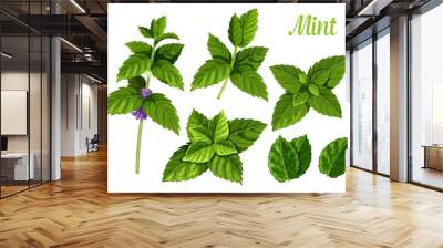 mint leaves or peppermint leaf, green spearmint Wall mural